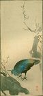 Ito Sozan Peahen and Plum Tree Japanese Woodblock Print - Rare