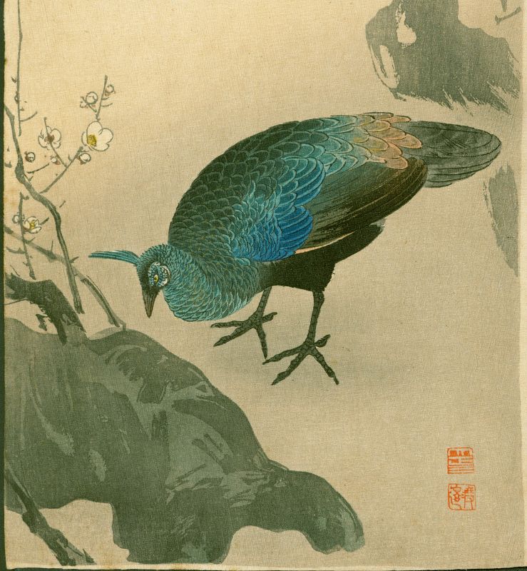 Ito Sozan Peahen and Plum Tree Japanese Woodblock Print - Rare