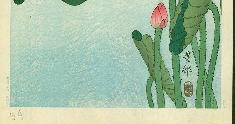 Ohara Koson (Hoson) Woodblock Print -  Flowering Lotus SOLD