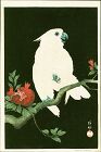 Ohara Shoson (Koson) Woodblock Print - Cockatoo & Pomegranate SOLD