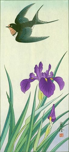 Hashimoto Yuzuru (Jo) Japanese woodblock Print - Swallow and Iris