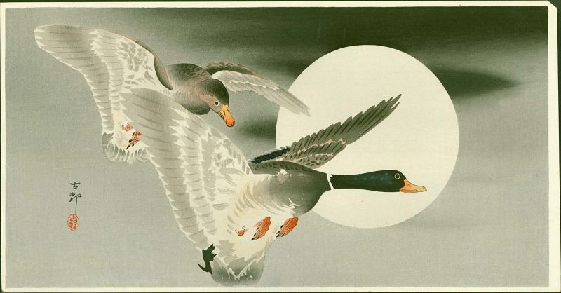 Ohara Koson Japanese Woodblock Print - Mallards in Flight and Moon