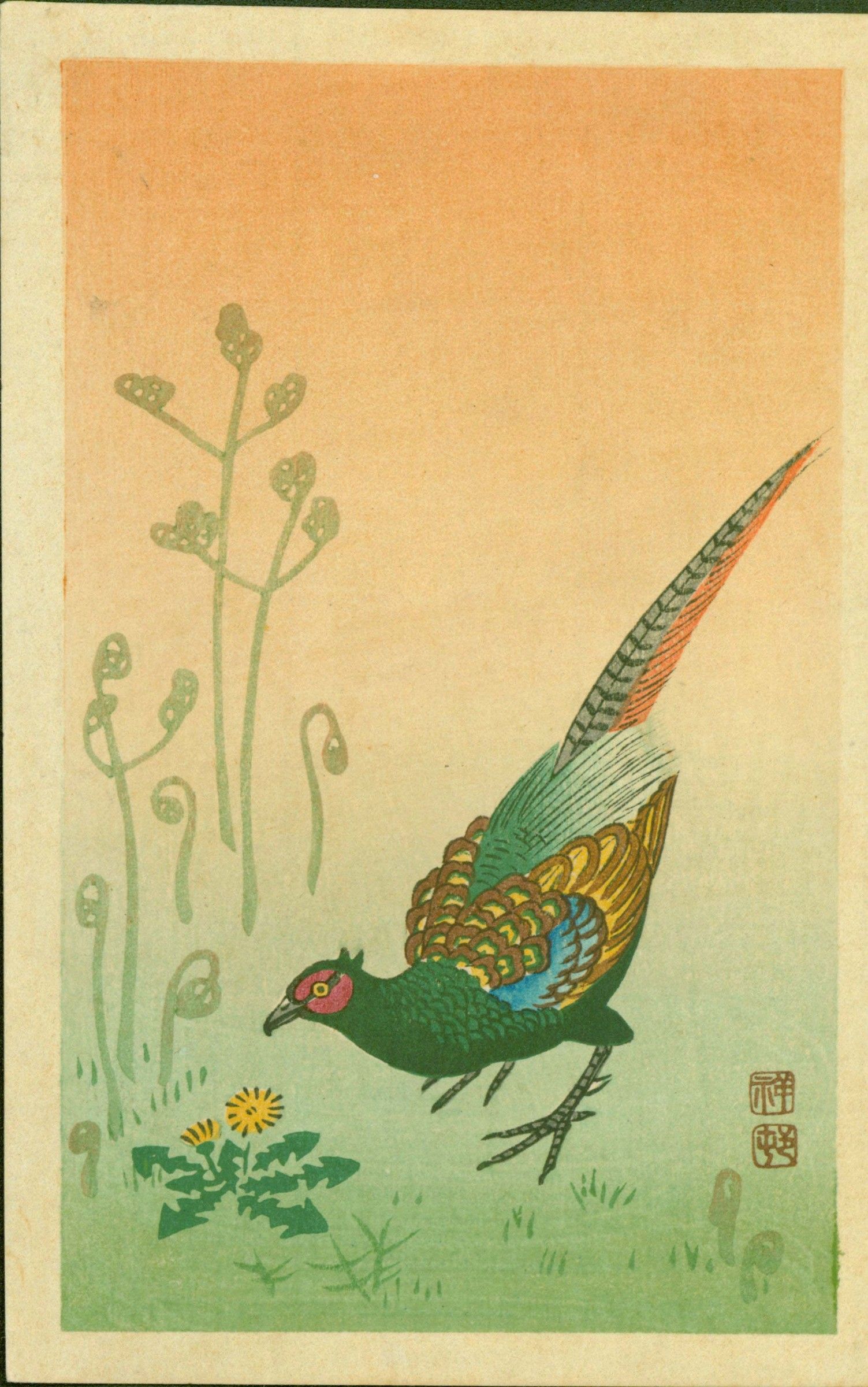 Ohara Koson (Shoson) Woodblock Print - Pheasant and Grasses SOLD