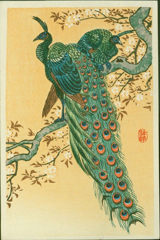 Ohara Koson (Shoson) Woodblock Print - Peacock and Peahen Cherry SOLD