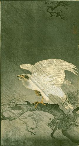 Ohara Koson  Woodblock Print -  White Eagle On Branch in Storm RARE