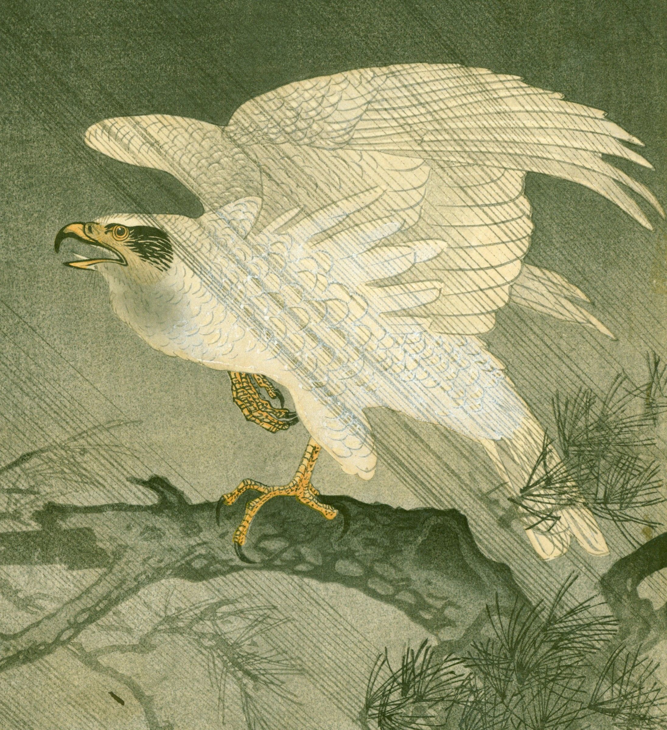 Ohara Koson Woodblock Print -  White Eagle On Branch in Storm SOLD