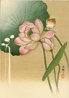 Ohara Koson Japanese Woodblock Print -Songbird and Lotus 1910 SOLD