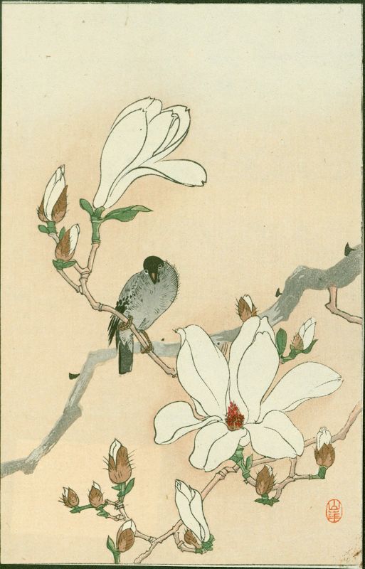Yamagishi / Ohara Koson Woodblock Print- Bird and Magnolia 1910