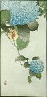Kono Bairei - Ohara Koson Woodblock Print - Sparrow on Hortensia SOLD