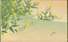 Japanese Woodblock Print - Spring Field - 1910 Matsumoto