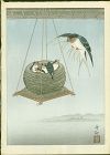 Ohara Koson (Hoson) Woodblock Print -  A Nest of Swallows - Very Rare