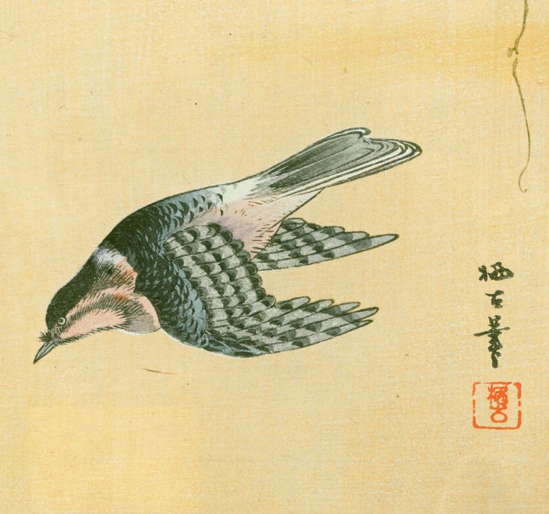 Aoki Seiko Japanese Woodblock Print - Flying Cuckoo - 1910 Rare