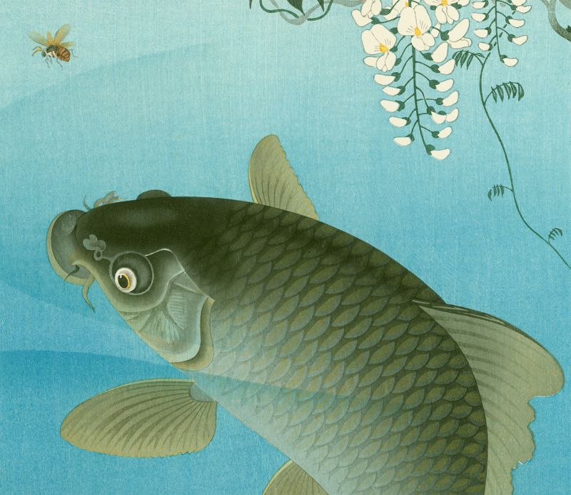 Ohara Koson Japanese Woodblock Print - Leaping Carp and Insect - Rare