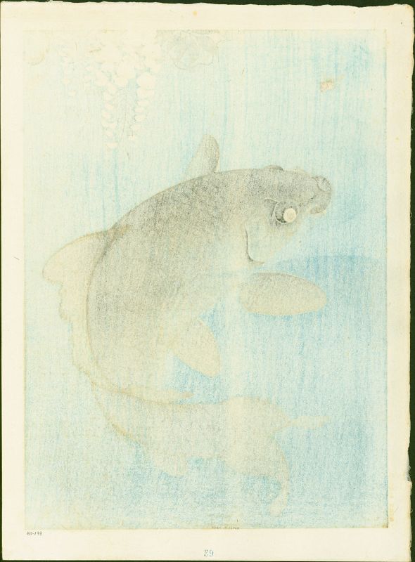 Ohara Koson Japanese Woodblock Print - Leaping Carp and Insect - Rare