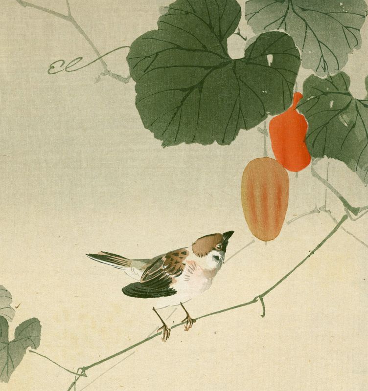 Ohara Koson Woodblock Print - Sparrow on Vine of Wild Melon- 1910 Rare