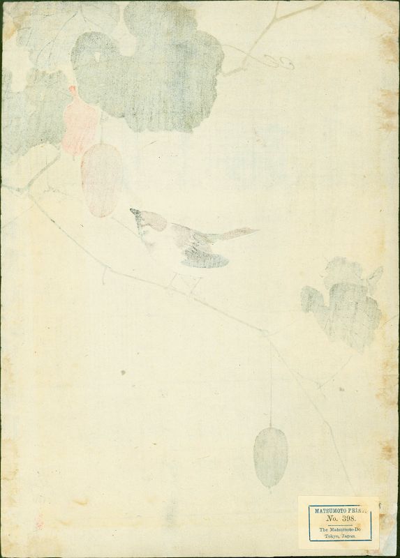 Ohara Koson Woodblock Print - Sparrow on Vine of Wild Melon- 1910 Rare