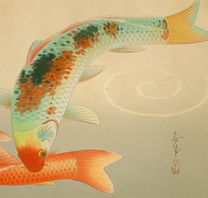 Ohno Bakufu Woodblock Print -Brocade Carp Familiar Fishes Rare SOLD