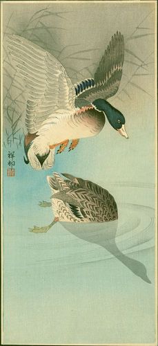 Ohara Koson (Shoson) Japanese Woodblock Print- Two Wild Ducks