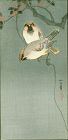 Aoki Seiko Japanese Woodblock Print - Waxwings - 1910 Rare