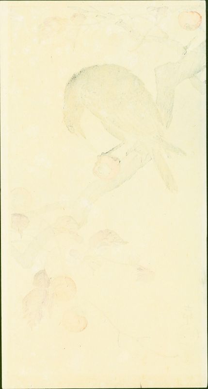 Ohara Koson Woodblock Print - Crow Eating Persimmon -Kokkiedo SOLD