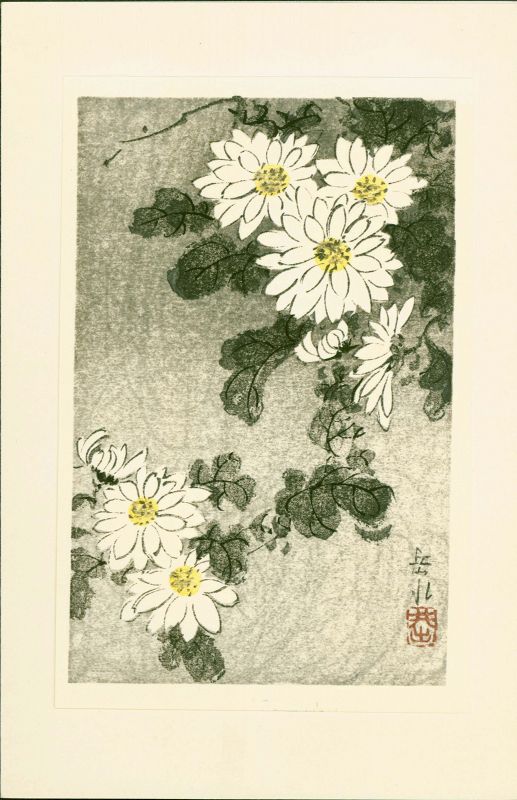 Ide Gakusui Japanese Woodblock Print - Chrysanthemums