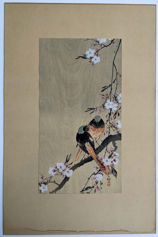 Ohara Koson Japanese Woodblock Print - Redstarts on Cherry Branch