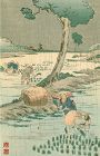 Tomioka Eisen Japanese Woodblock Print - Rice Planting -1910 Matsumoto