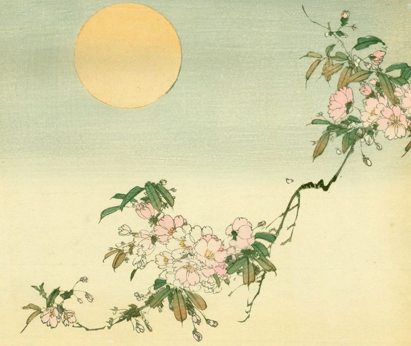 Seiko Okuhara Japanese Woodblock Print - Cherry Blossoms and Moon