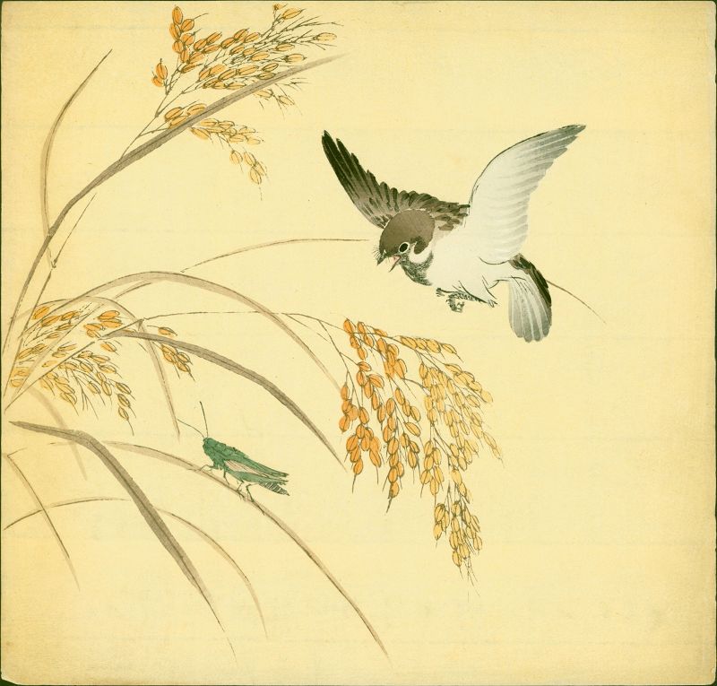 Sparrow and Grasshopper Japanese Woodblock Print
