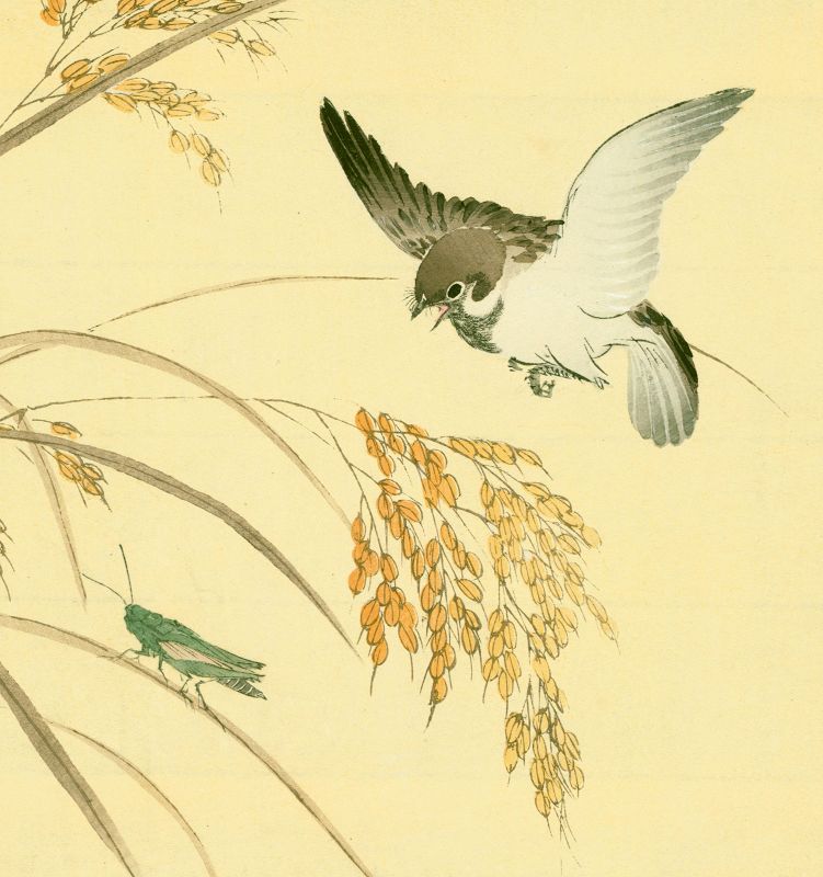 Sparrow and Grasshopper Japanese Woodblock Print