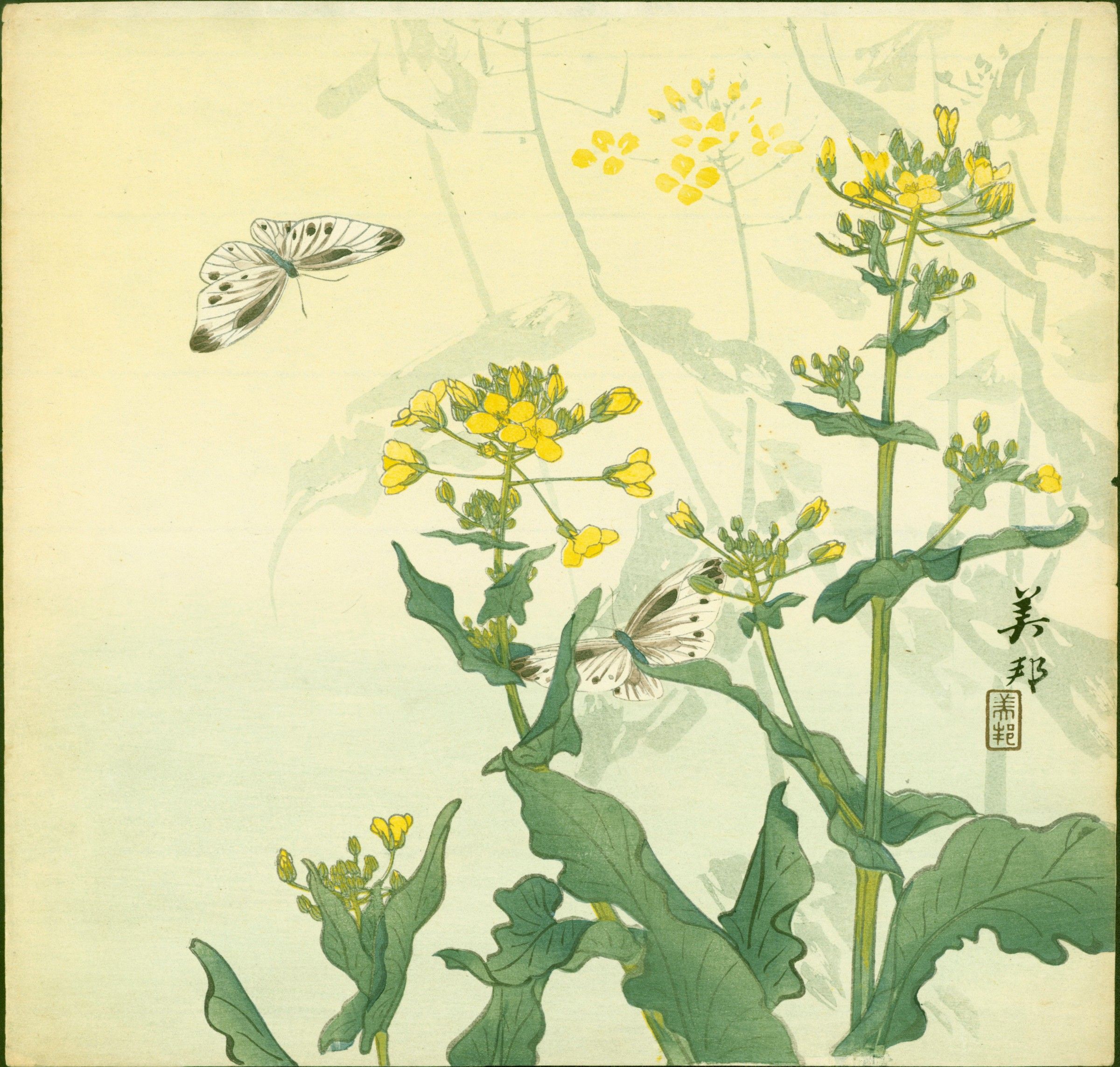Biho Takahashi Japanese Woodblock Print Butterflies and Mustard - Rare