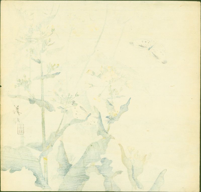 Biho Takahashi Woodblock Print Butterflies and Mustard - Rare