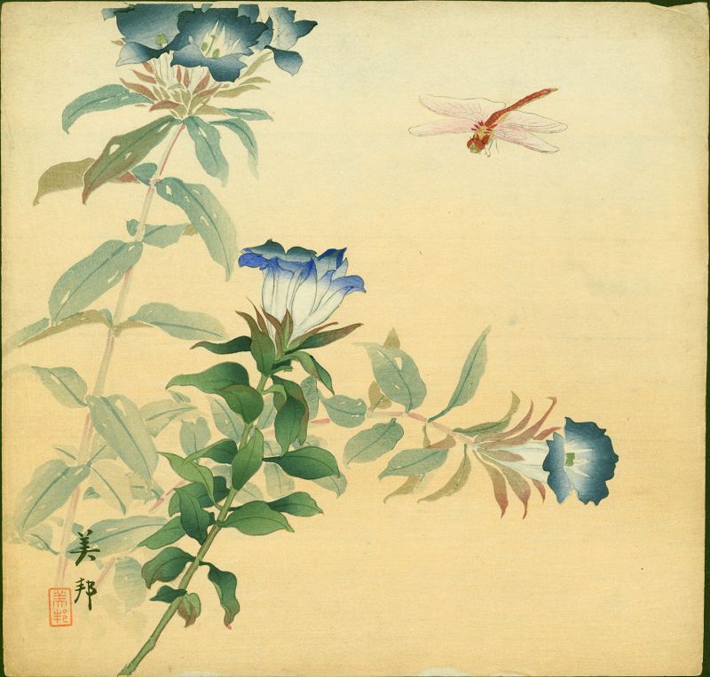 Biho Takahashi Japanese Woodblock Print Dragonfly Flowers - Rare SOLD