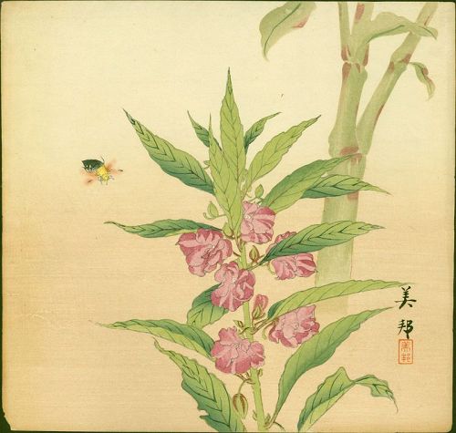 Biho Takahashi Japanese Woodblock Print- Bee and Pink Hollyhock - Rare