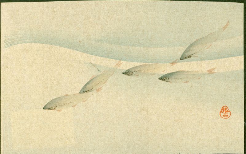 Aoki Seiko Japanese Woodblock Ayu Fish In the Stream - 1910