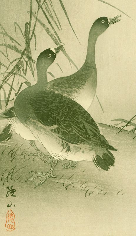 Ito Sozan Japanese Woodblock Print - Geese in Moonlight - Rarely seen