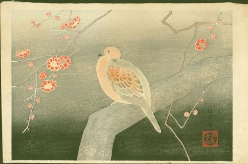 Koei Japanese Woodblock Print - Dove on Plum Tree Branch - 1930 Rare