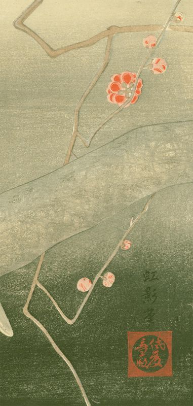 Koei Japanese Woodblock Print - Dove on Plum Tree Branch - 1930 Rare