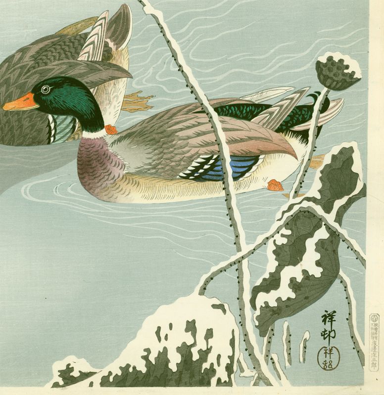 Ohara Shoson (Koson) Woodblock Print - Mallards and Lotus - 1st ed.