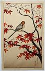 Toshi Yoshida Japanese Woodblock Print - Birds of Seasons- Autumn SOLD