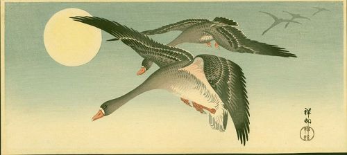 Ohara Koson Woodblock Print- White-Fronted Geese Flying Full Moon SOLD