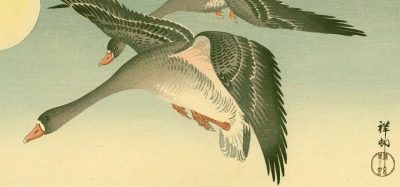 Ohara Koson Woodblock Print- White-Fronted Geese Flying Full Moon SOLD