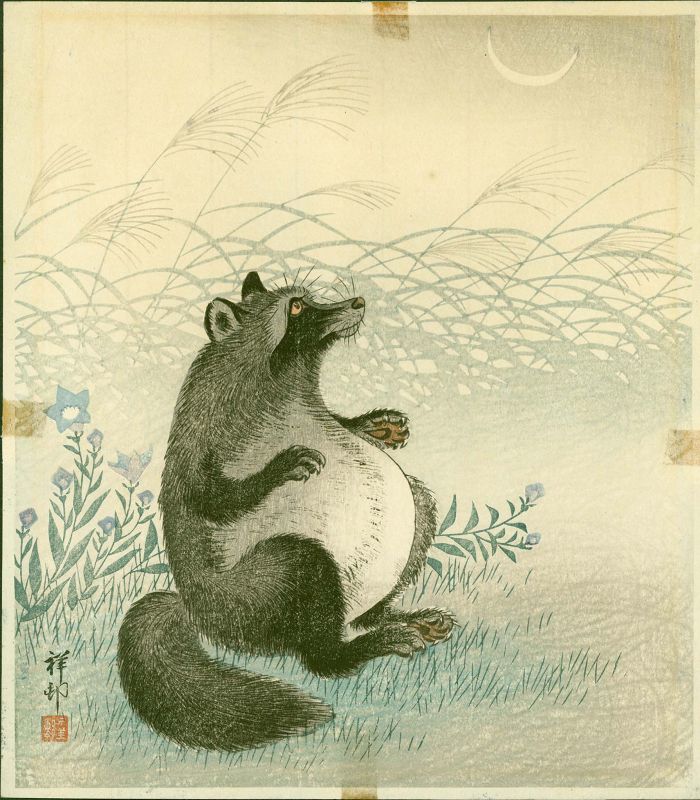 Ohara Shoson (Koson) Woodblock Print- Tanuki, Grasses, Moon RARE SOLD