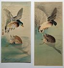 Koson (Shoson) Japanese Watercolor & Woodblock Print - Wild Ducks SOLD