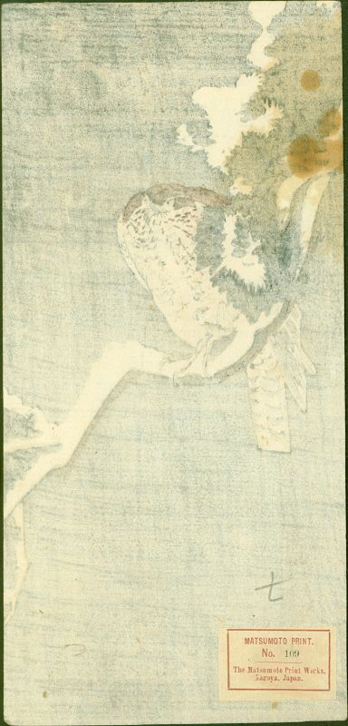 Ohara Koson Japanese Woodblock Print - Goshawk on Pine Branch - Rare