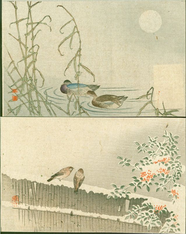 Japanese Woodblock Print Pair- Ducks & Sparrows - 1910 Matsumoto