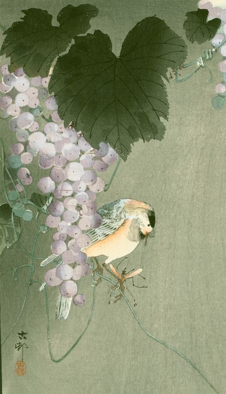 Ohara Koson Woodblock Print - Willow Tit Sitting On a Vine SOLD