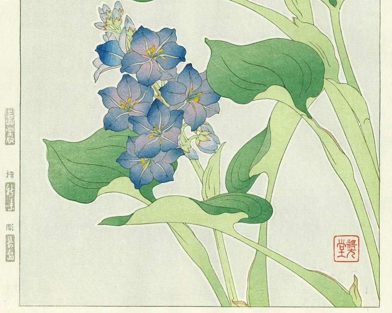Shodo Kawarazaki Japanese Woodblock Print - Water Hyacinth