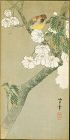 Aoki Seiko Japanese Woodblock Print - Bird and Blossoms - 1910 Rare
