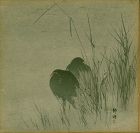 Okuhara Seiko Japanese Woodblock Print - Moorhens in Reeds - 1900 1st